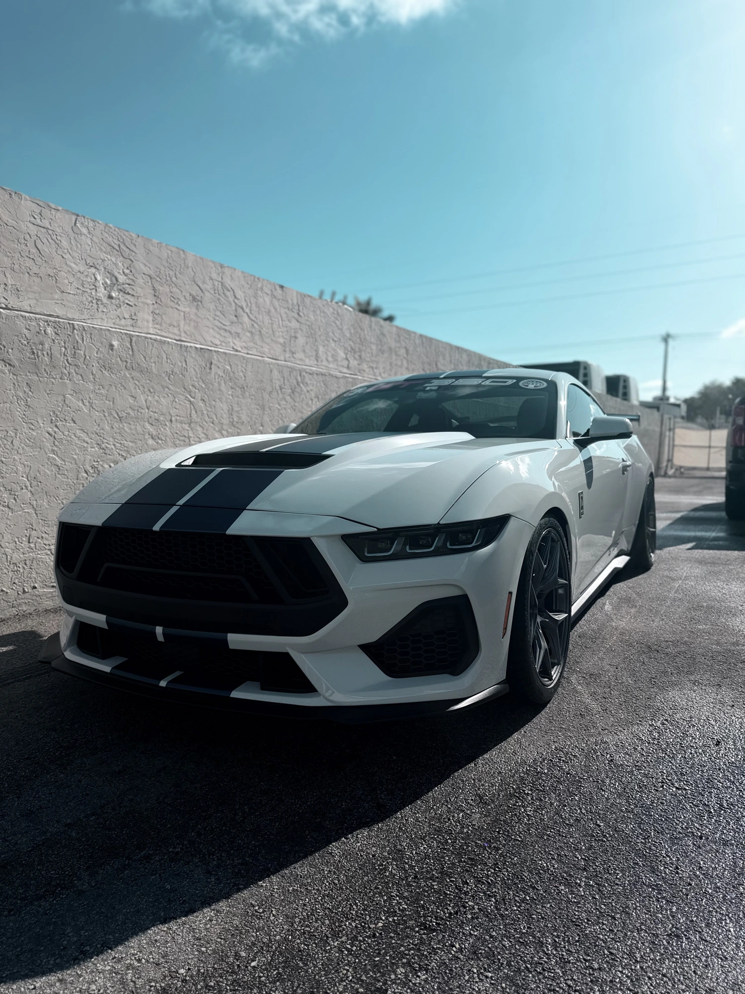 White Ford Mustang GT detailed at SSF Detail Boca Raton