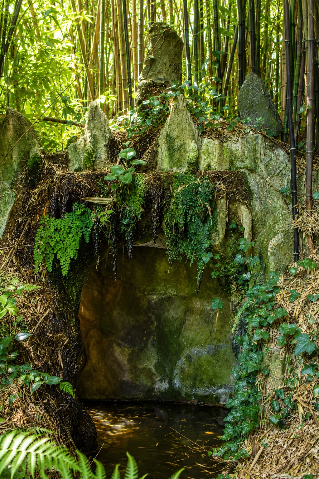 Fonte de pedra coberta de musgo no bambuzal