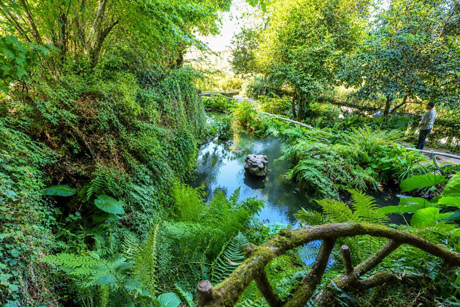 Ribeiro e lago rodeados de fetos no jardim